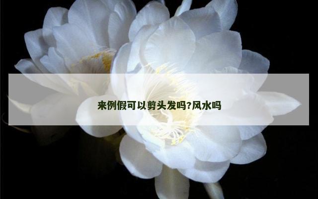 来例假可以剪头发吗?风水吗