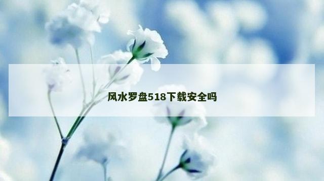 风水罗盘518下载安全吗