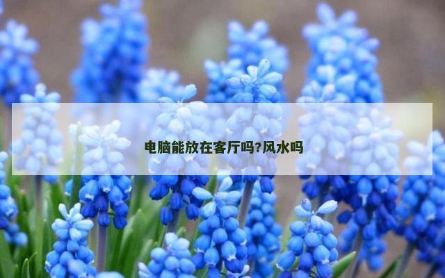 电脑能放在客厅吗?风水吗