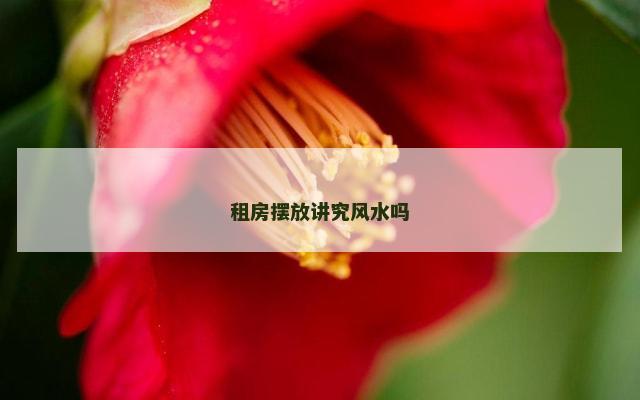 租房摆放讲究风水吗