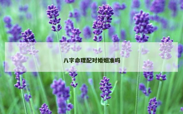 八字命理配对婚姻准吗