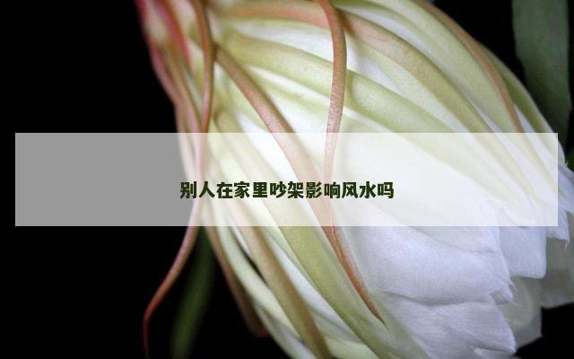 别人在家里吵架影响风水吗