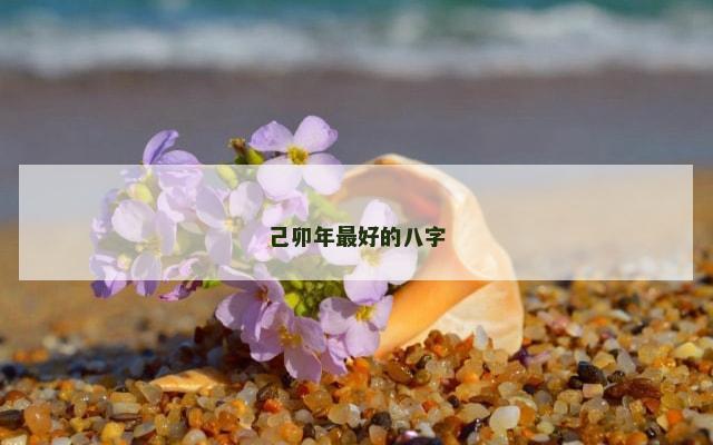 己卯年最好的八字