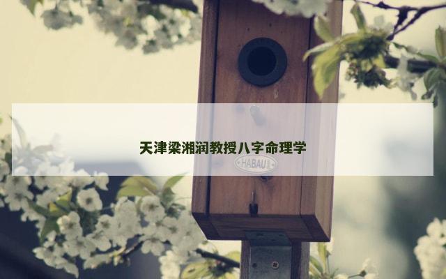 天津梁湘润教授八字命理学