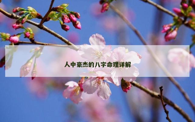 人中豪杰的八字命理详解