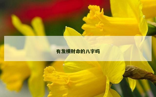 有发横财命的八字吗