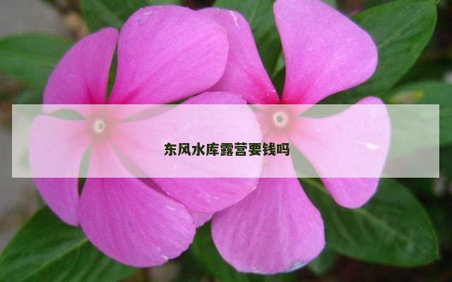 东风水库露营要钱吗