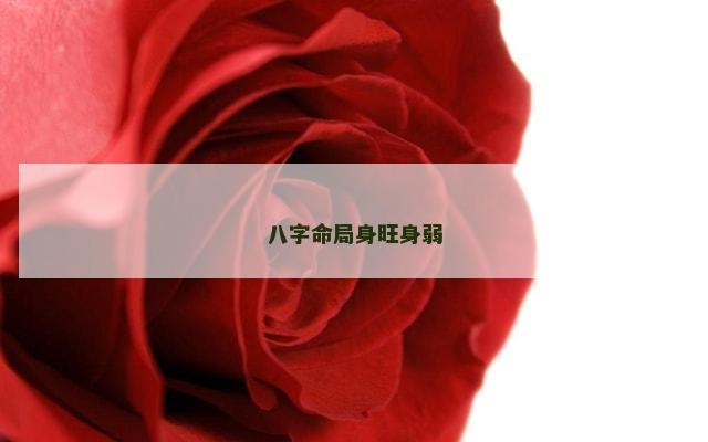 八字命局身旺身弱