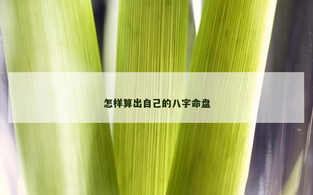 怎样算出自己的八字命盘