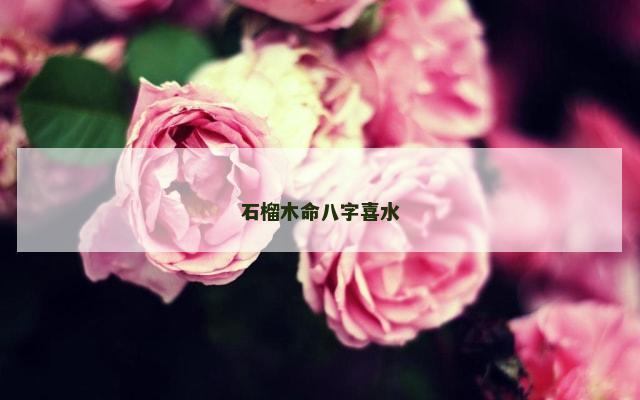 石榴木命八字喜水