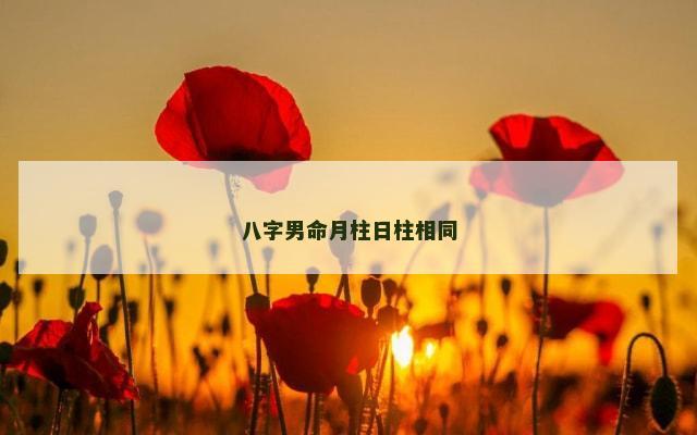 八字男命月柱日柱相同