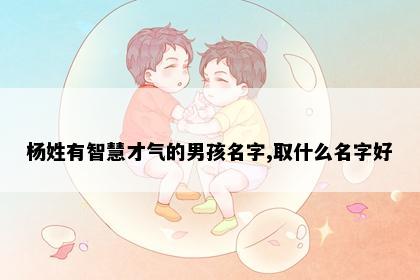 杨姓有智慧才气的男孩名字,取什么名字好