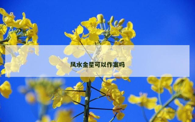 风水金星可以作案吗
