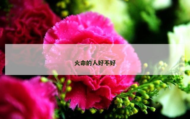 火命的人好不好