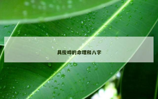 具俊晔的命理和八字