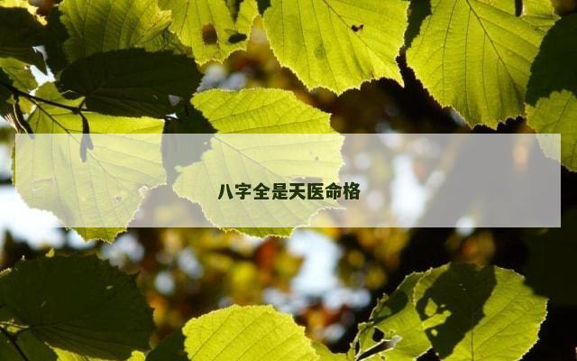 八字全是天医命格