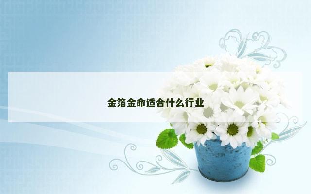 金箔金命适合什么行业