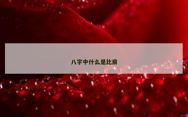 八字中什么是比肩