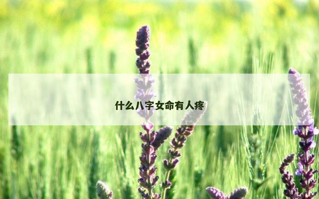 什么八字女命有人疼