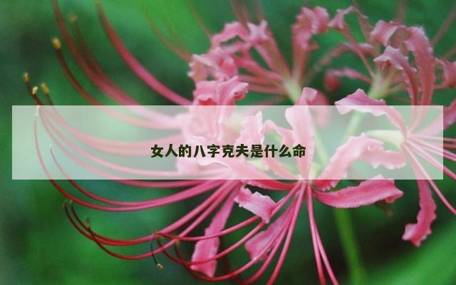 女人的八字克夫是什么命