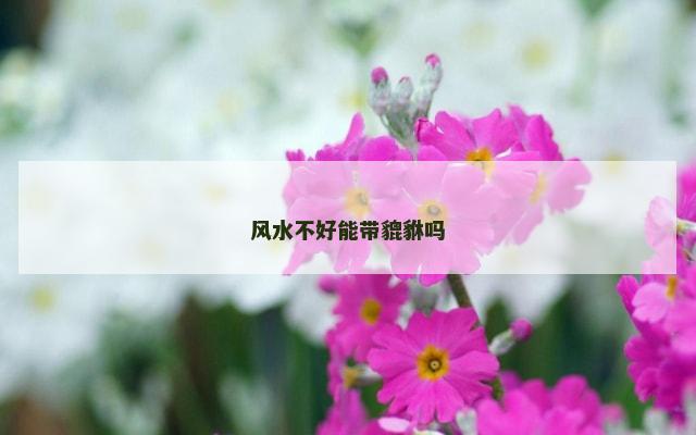 风水不好能带貔貅吗