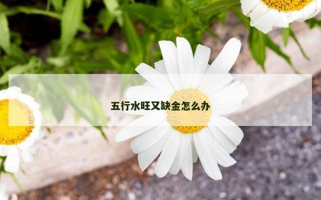 五行水旺又缺金怎么办