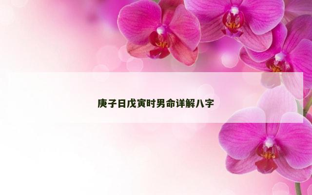 庚子日戊寅时男命详解八字