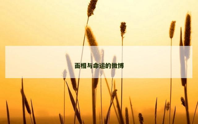 面相与命运的微博