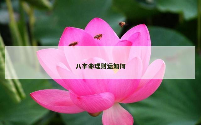 八字命理财运如何