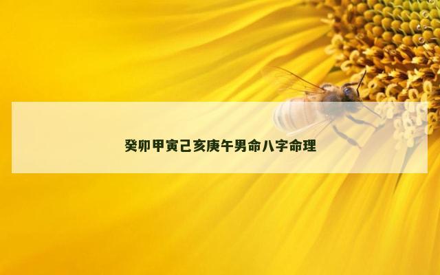 癸卯甲寅己亥庚午男命八字命理