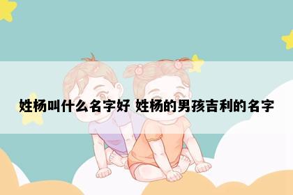 姓杨叫什么名字好 姓杨的男孩吉利的名字