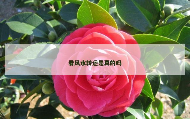 看风水转运是真的吗