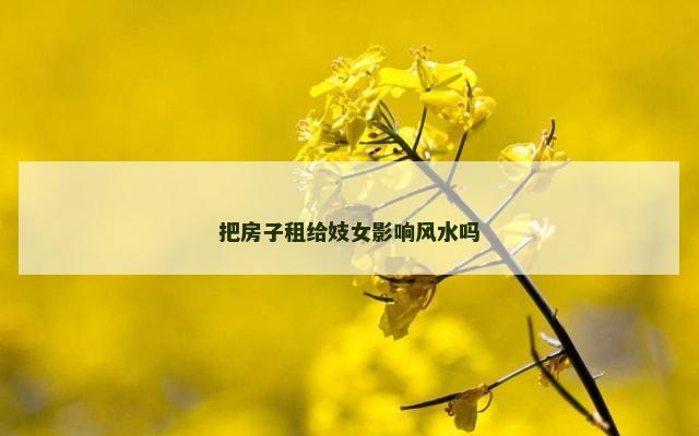 把房子租给妓女影响风水吗