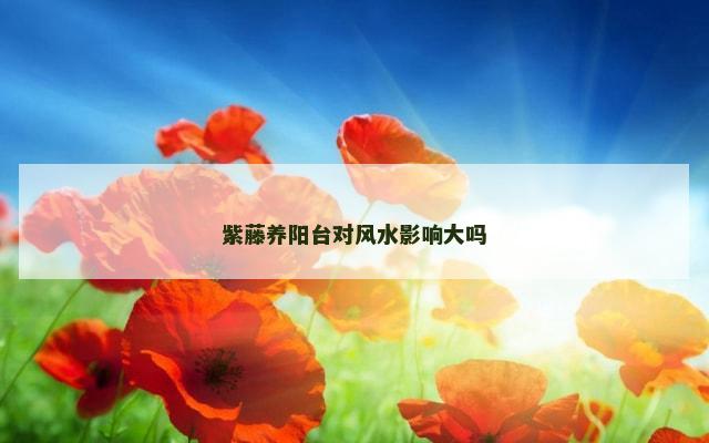 紫藤养阳台对风水影响大吗