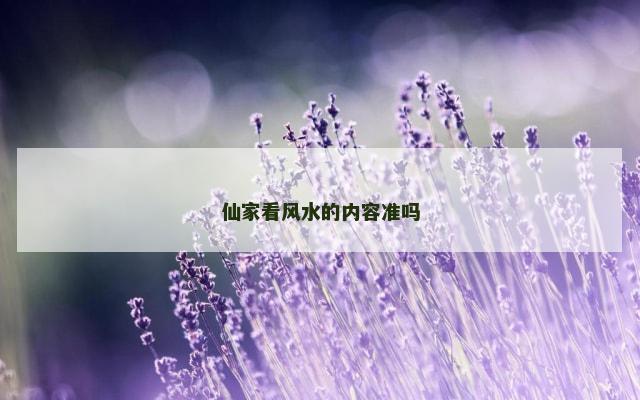 仙家看风水的内容准吗