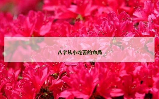 八字从小吃苦的命局