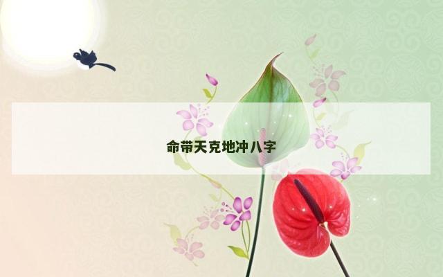 命带天克地冲八字