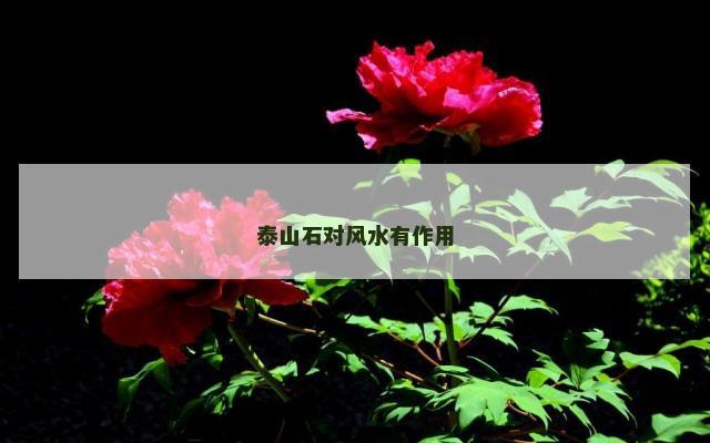 泰山石对风水有作用
