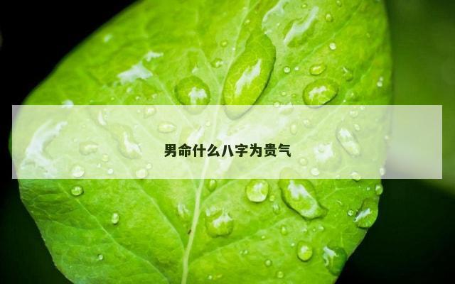 男命什么八字为贵气