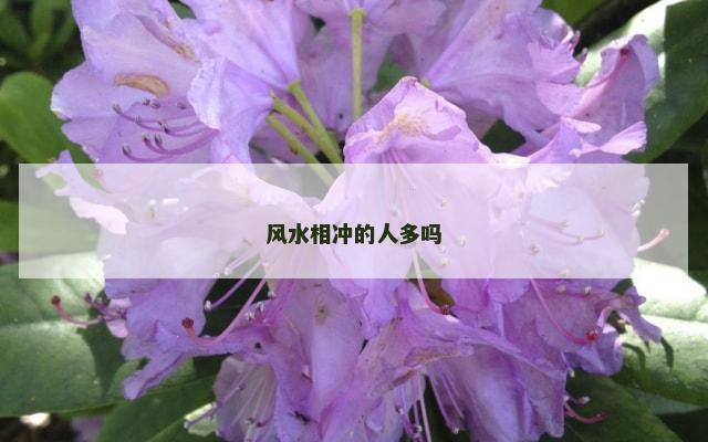 风水相冲的人多吗