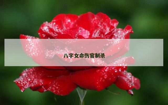 八字女命伤官制杀