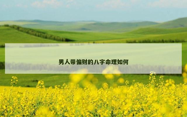 男人带偏财的八字命理如何