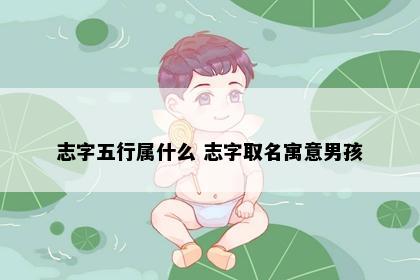 志字五行属什么 志字取名寓意男孩