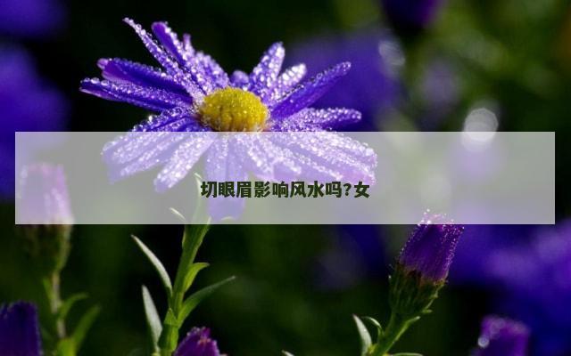 切眼眉影响风水吗?女