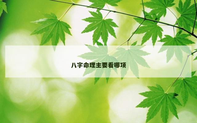 八字命理主要看哪项