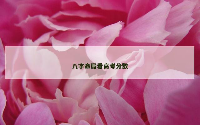 八字命局看高考分数