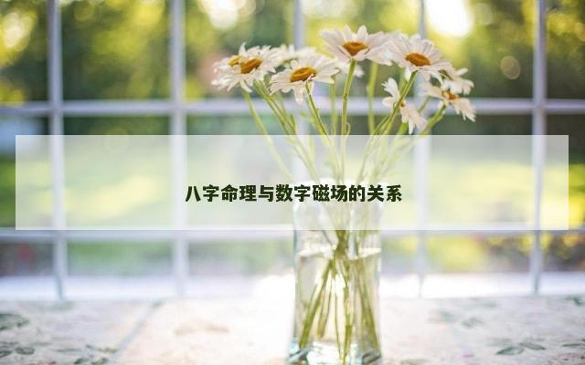 八字命理与数字磁场的关系