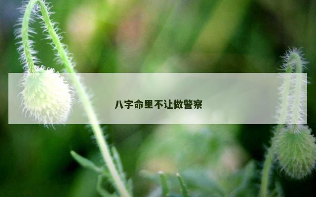 八字命里不让做警察