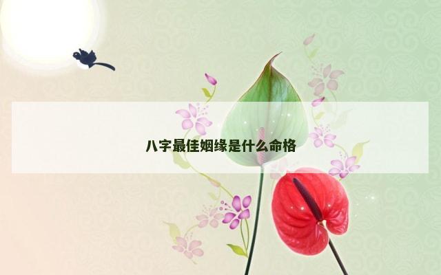 八字最佳姻缘是什么命格