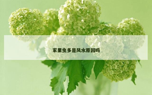 家里虫多是风水原因吗